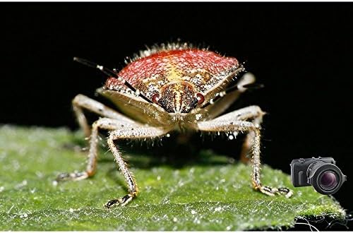 Raynox DCR-250 Super Macro Snap-On Lens - Image 6